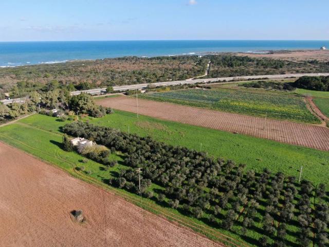 Rustico in vendita a Puglia, Brindisi