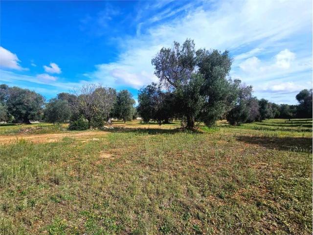 Rustico in vendita a Contrada Spierti, Puglia