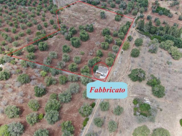 Rustico in vendita a Puglia, Brindisi