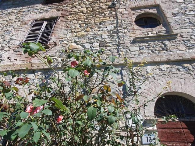 Rustico in vendita a Carpaneto Piacentino, Reggio Emilia