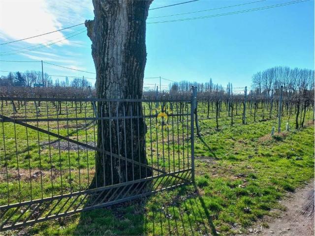 Rustico in vendita a Unione delle Terre d'Argine, Carpi