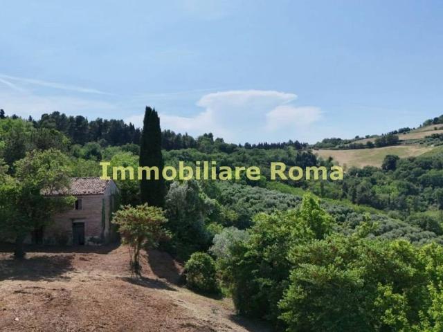 Rustico in vendita a Colli al Metauro, Marche