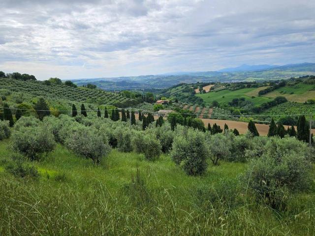 Rustico in vendita a Colli al Metauro, Marche