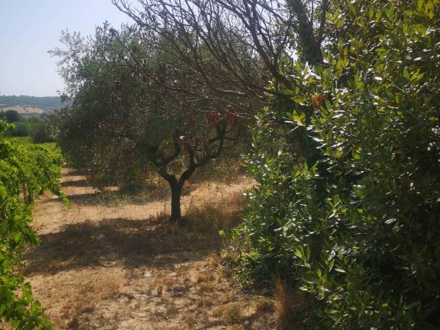 Rustico in vendita a Casalbordino, Chieti