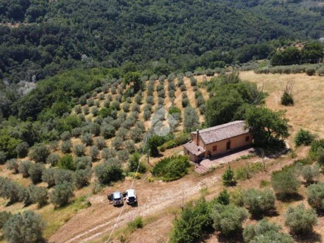 Rustico in vendita a Collelungo, Casaprota