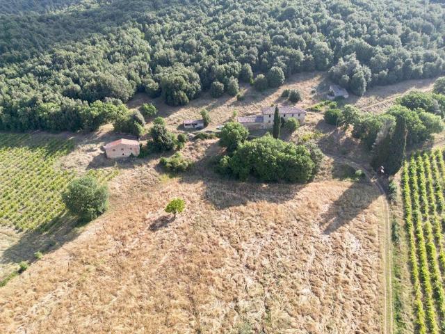 Rustico in vendita a Casole D'elsa, Toscana
