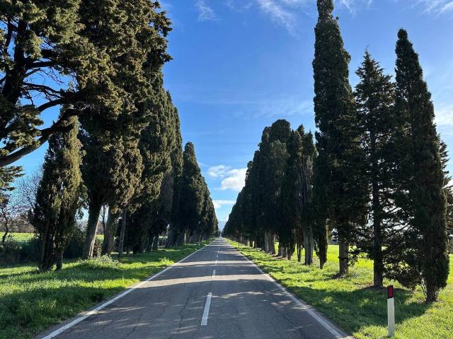 Rustico in vendita a Bolgheri, Toscana