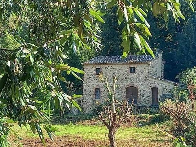 Rustico in vendita a Bolgheri, Toscana