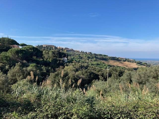 Rustico in vendita a Castagneto Carducci, Livorno