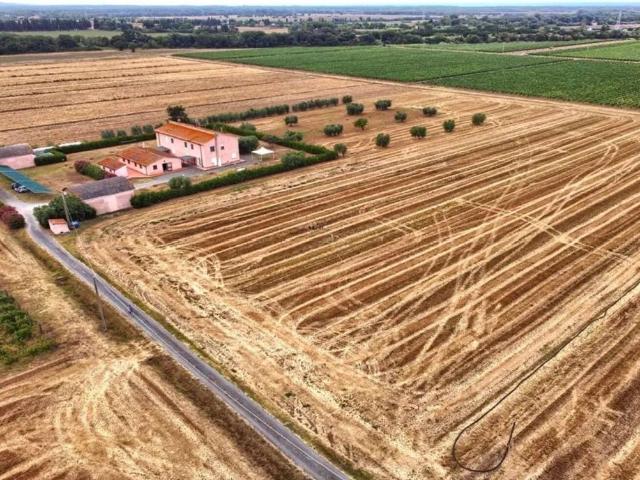 Rustico in vendita a Bolgheri, Toscana