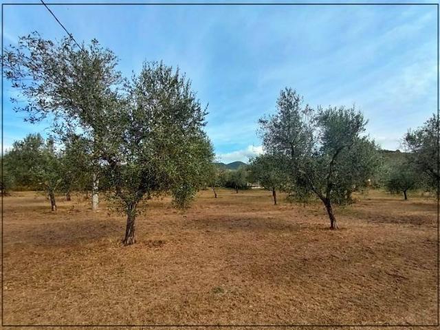 Rustico in vendita a Bolgheri, Toscana