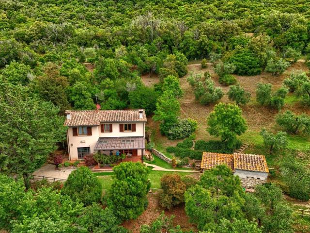 Rustico in vendita a Bolgheri, Toscana