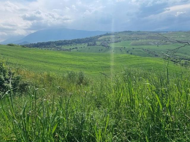 Rustico in vendita a Marche, Ascoli Piceno
