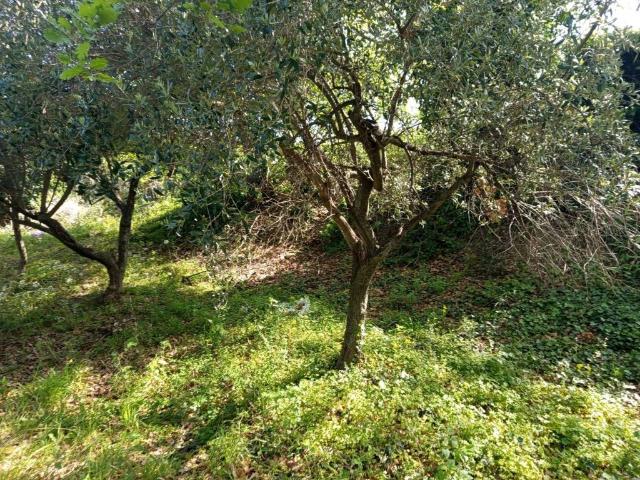 Rustico in vendita a Castel Frentano, Abruzzo