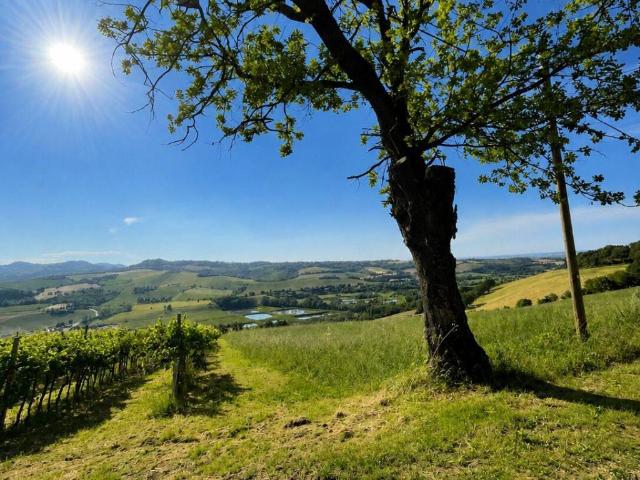 Rustico in vendita a Nuovo Circondario Imolese, Castel San Pietro Terme
