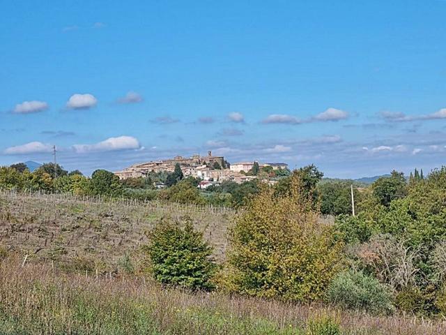 Rustico in vendita a Castel Viscardo, Umbria