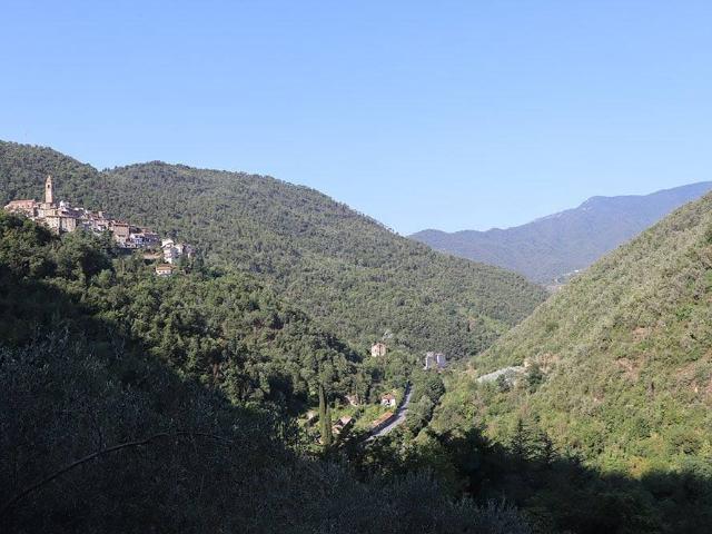Rustico in vendita a Castel Vittorio, Liguria