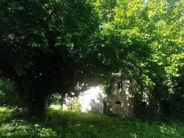Rustico in vendita a Cerretano, Marche