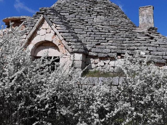Rustico in vendita a Contrada Scamardella, Castellana Grotte