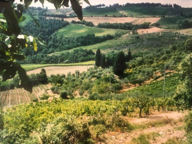 Rustico in vendita a Castellina In Chianti, Toscana