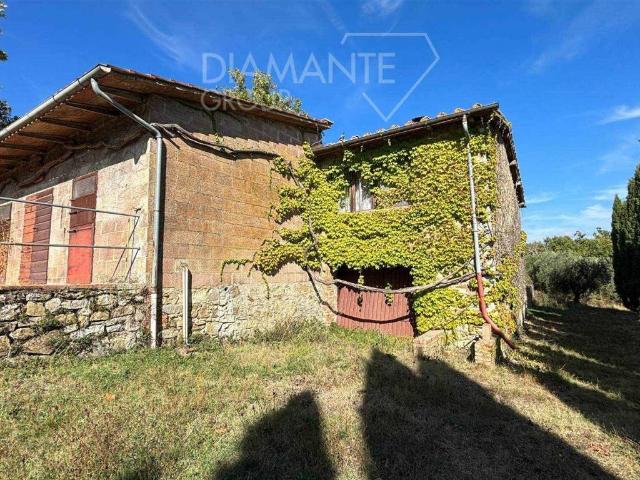Rustico in vendita a Castellina In Chianti, Toscana