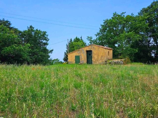 Rustico in vendita a Castellina Marittima, Toscana