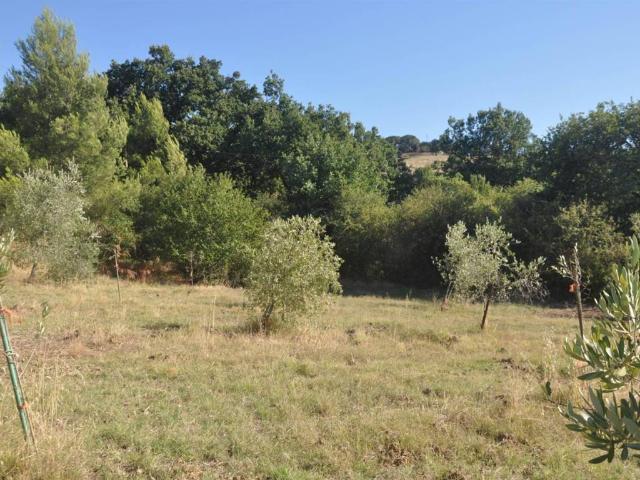 Rustico in vendita a Castellina Marittima, Toscana