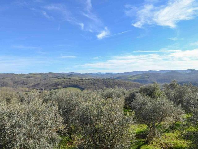Rustico in vendita a Castelnuovo Berardenga, Toscana