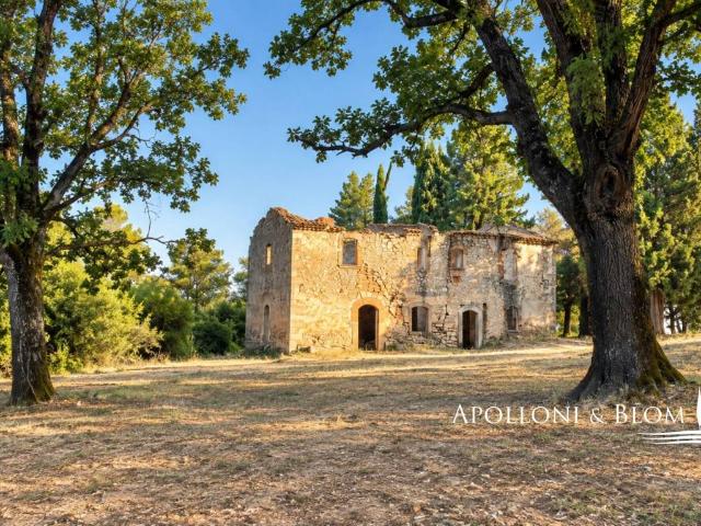 Rustico in vendita a Castelnuovo Berardenga, Siena