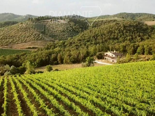 Rustico in vendita a Castelnuovo Berardenga, Toscana