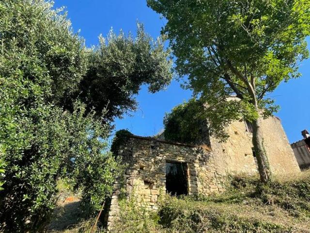 Rustico in vendita a Pantana, Castelnuovo Cilento