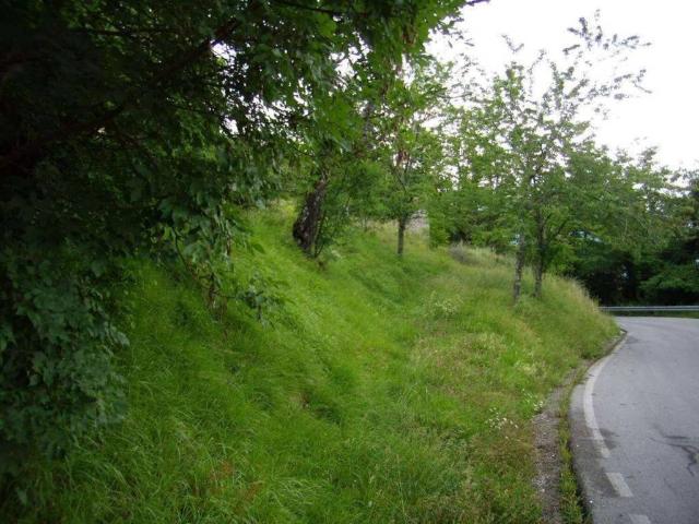 Rustico in vendita a Monticello-Casetta, Castelnuovo di Garfagnana