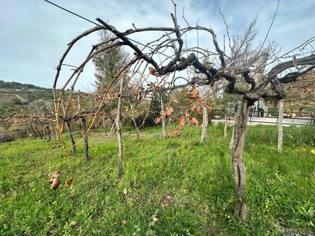 Rustico in vendita a Castelvetere Sul Calore, Campania