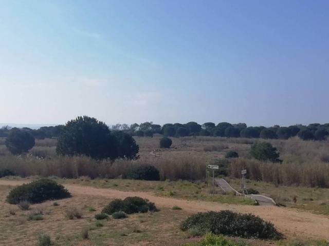 Rustico in vendita a Castelvetrano, Sicilia