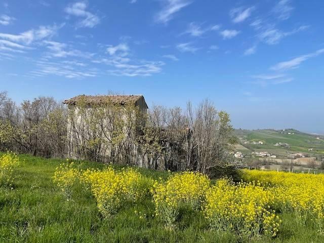 Rustico in vendita a Unione di comuni Terre di Castelli, Castelvetro Di Modena