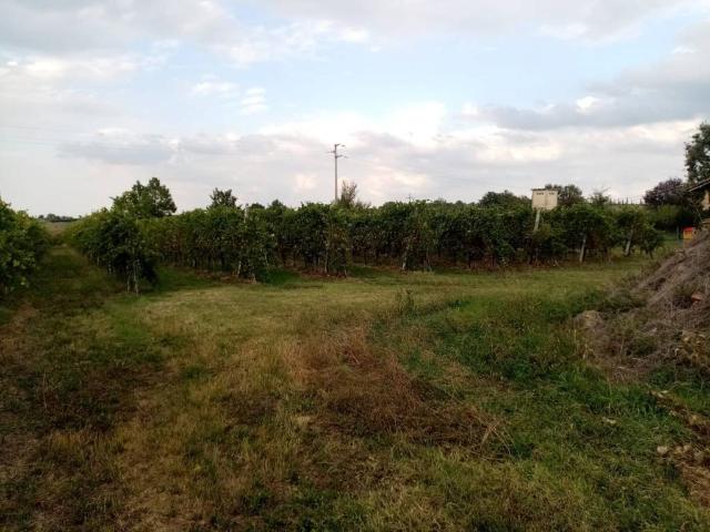 Rustico in vendita a Unione di comuni Terre di Castelli, Castelvetro Di Modena