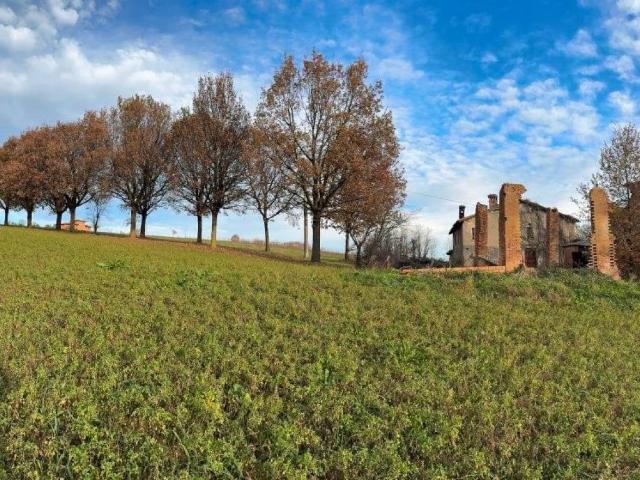 Rustico in vendita a Unione di comuni Terre di Castelli, Castelvetro Di Modena