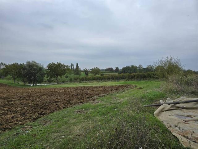 Rustico in vendita a Unione di comuni Terre di Castelli, Castelvetro Di Modena