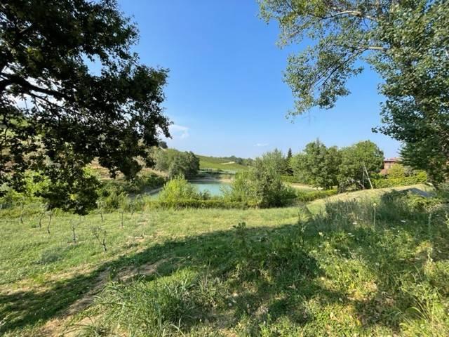 Rustico in vendita a Unione di comuni Terre di Castelli, Castelvetro Di Modena