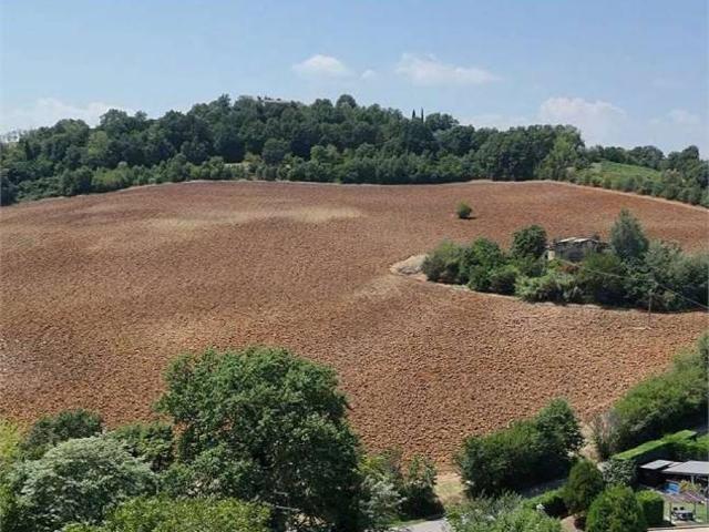 Rustico in vendita a Unione di comuni Terre di Castelli, Castelvetro Di Modena