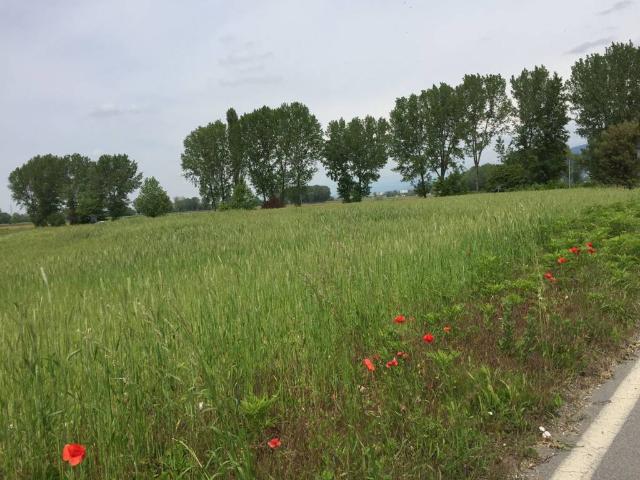 Rustico in vendita a Castenedolo, Lombardia