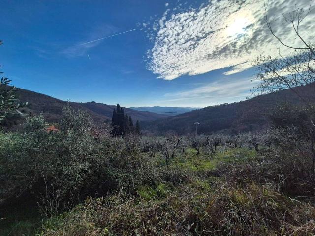 Rustico in vendita a Castiglion Fibocchi, Toscana