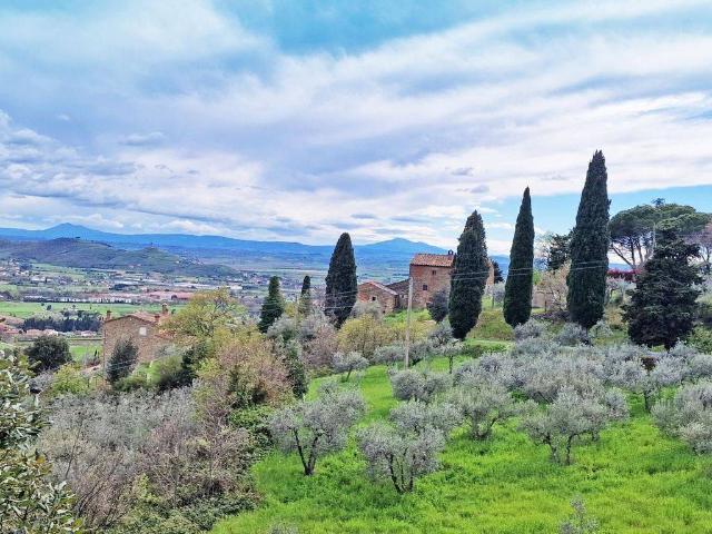 Rustico in vendita a Castiglion Fiorentino, Toscana