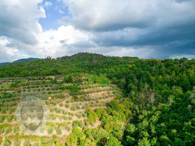 Rustico in vendita a Castiglion Fiorentino, Toscana