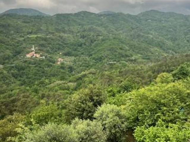 Rustico in vendita a Castiglione Chiavarese, Liguria