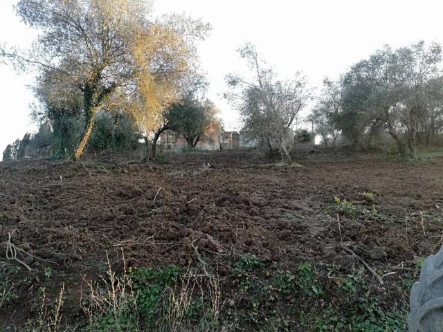 Rustico in vendita a Gioiella