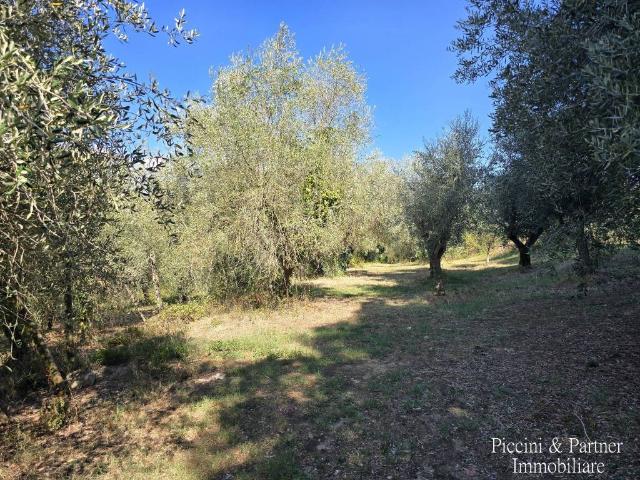 Rustico in vendita a Pozzuolo, Castiglione del Lago