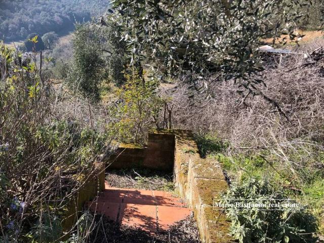 Rustico in vendita a Macchiascandona, Castiglione Della Pescaia