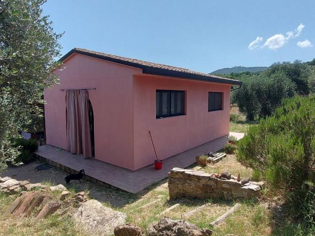 Rustico in vendita a Castiglione Della Pescaia, Toscana