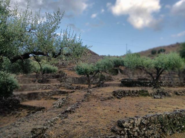 Rustico in vendita a Castiglione Di Sicilia, Sicilia
